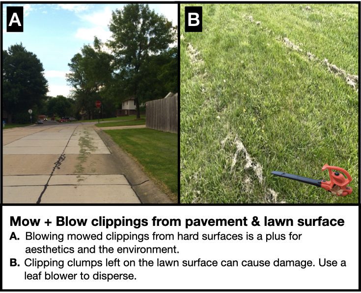 Should You Leaf Blower Before Or After Mowing?