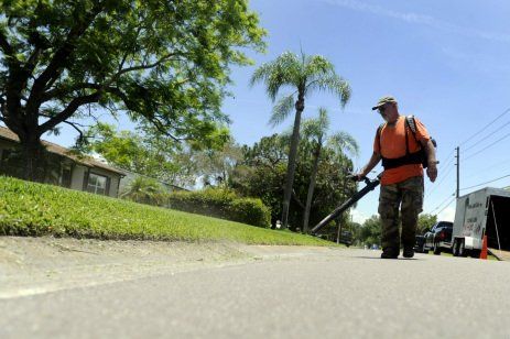 Should You Leaf Blower Before Or After Mowing?