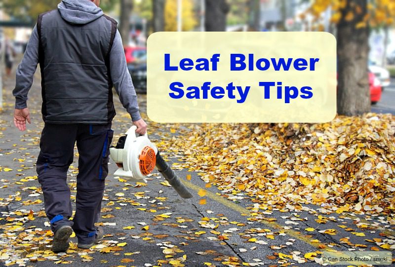 What Safety Precautions Should You Take When Using A Leaf Blower?