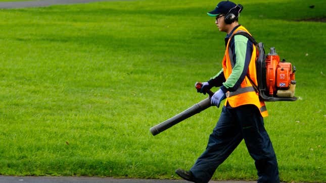 What States Have Banned Leaf Blowers?