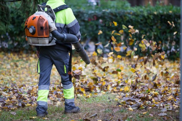 what states have banned leaf blowers 3