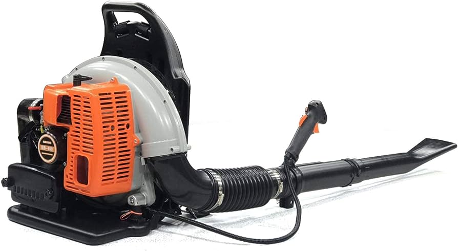 What Type Of Fuel Do Gas Leaf Blowers Use?