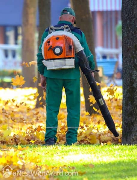 Whats The Difference Between Handheld And Backpack Leaf Blowers?