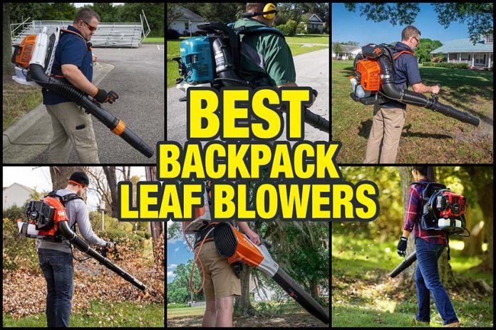 whats the difference between handheld and backpack leaf blowers 5