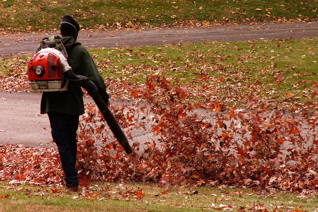 Why Are Leaf Blowers Controversial?