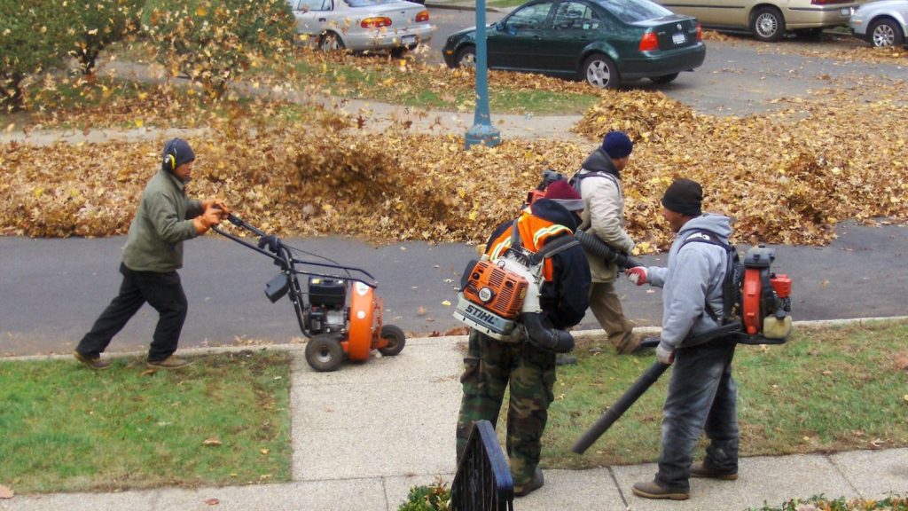 Why Did California Ban Leaf Blowers?