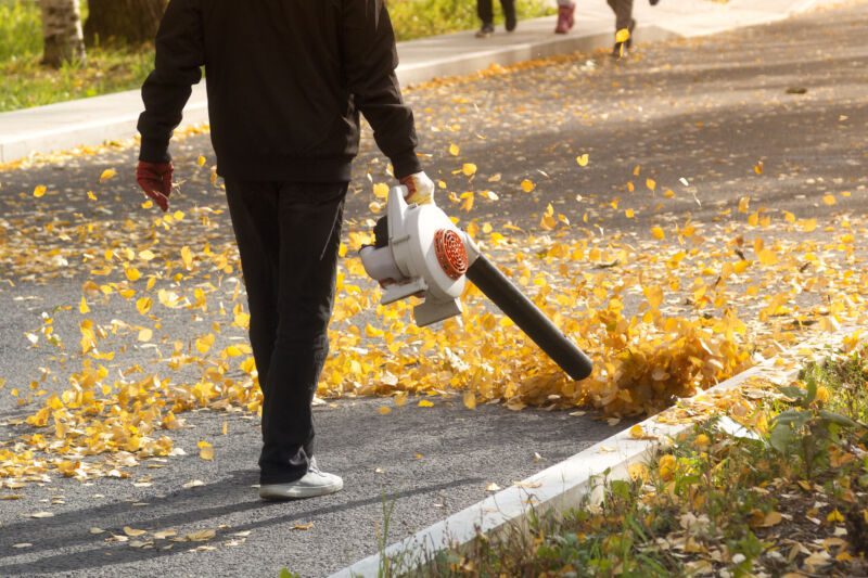 Why Did California Ban Leaf Blowers?