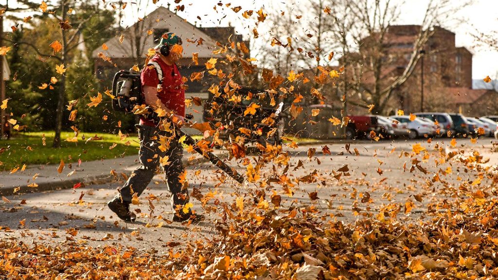 Why Do People Hate Leaf Blowers?