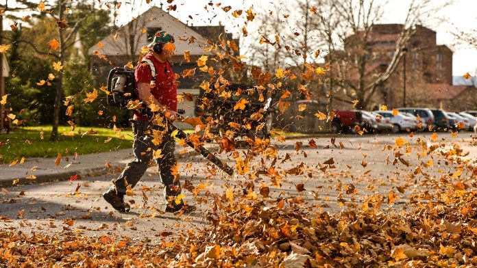 why do people hate leaf blowers 2