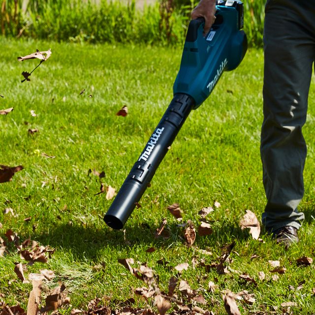 Are There Battery powered Leaf Blowers With Long lasting Batteries