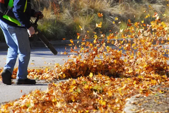 Should I Wear A Mask When Using A Leaf Blower