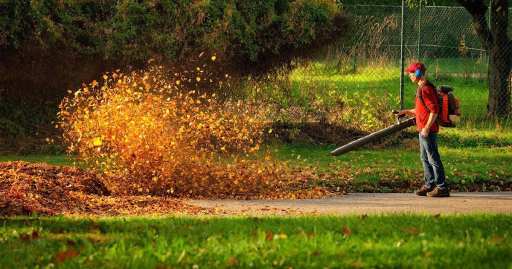 Are There Any Ergonomic Considerations When Choosing A Leaf Blower?