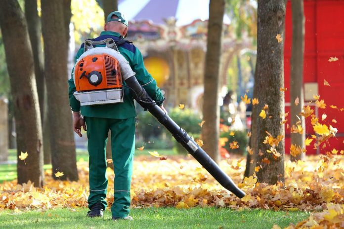 Working In The Park Removes Autumn Leaves With A Blower