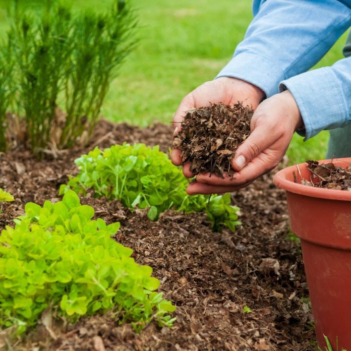 are there leaf blowers with built in mulching features