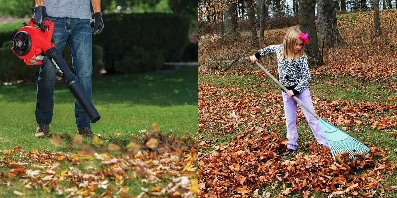 What Are The Advantages Of Using A Leaf Blower Over A Rake?