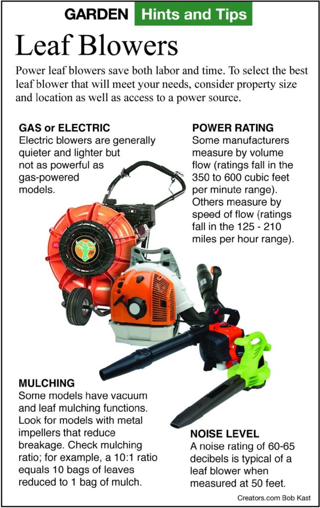 What Are The Advantages Of Using A Leaf Blower Over A Rake?