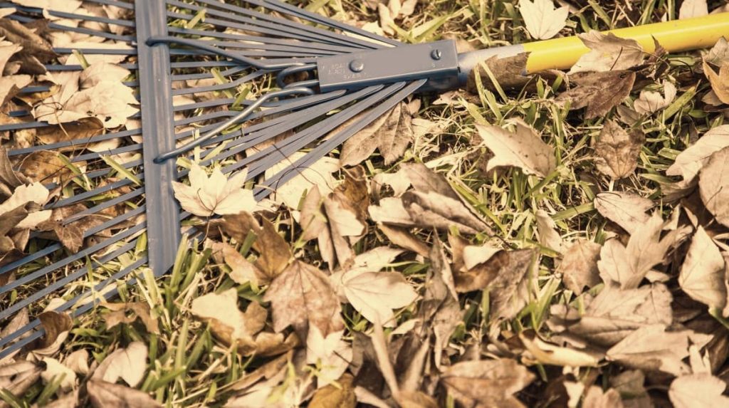 What Are The Pros And Cons Of Using A Leaf Blower Vs Raking?