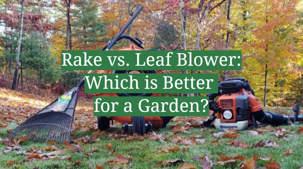 What Are The Pros And Cons Of Using A Leaf Blower Vs Raking?