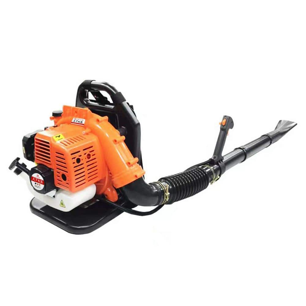 Are Gas Leaf Blowers Suitable For Removing Leaves From Pool Water?