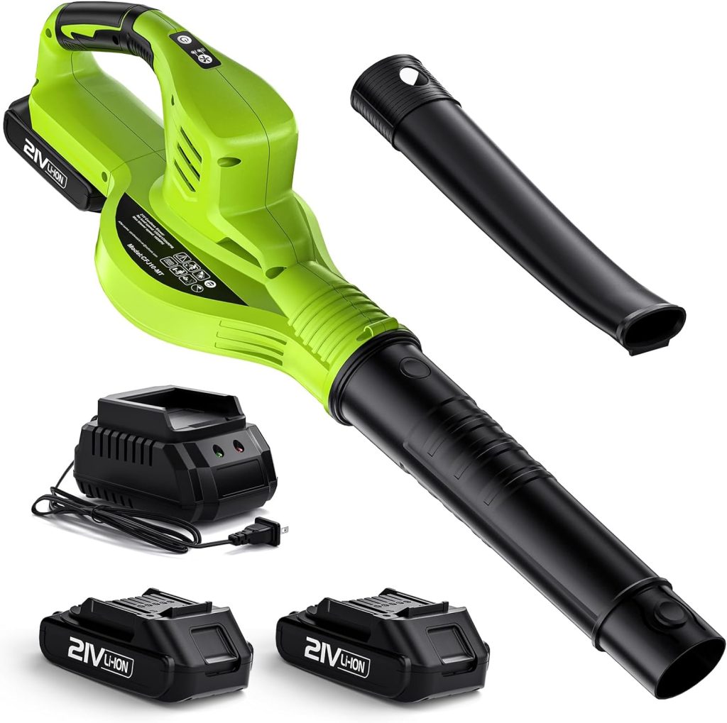 Cordless Electric Leaf Blower with 2 Batteries and Charger, 160MPH, 21V Battery Powered Lightweight Blower for Lawn Care, Patio, Dust Blowing and Snow