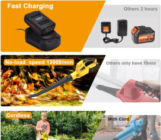 20V Cordless Leaf Blower review