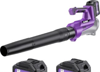 Electric Leaf Blower Cordless Review