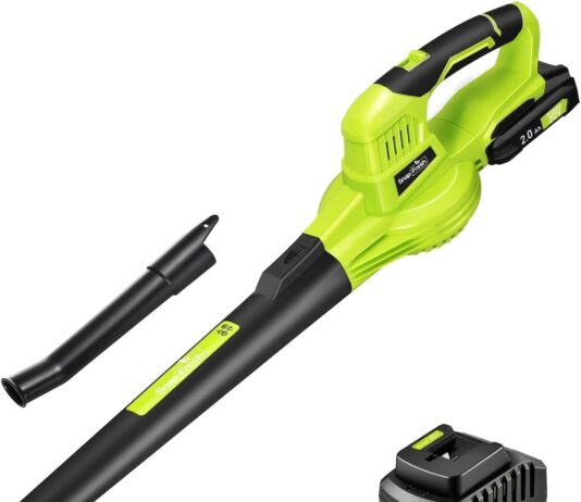 SnapFresh Cordless Leaf Blower review