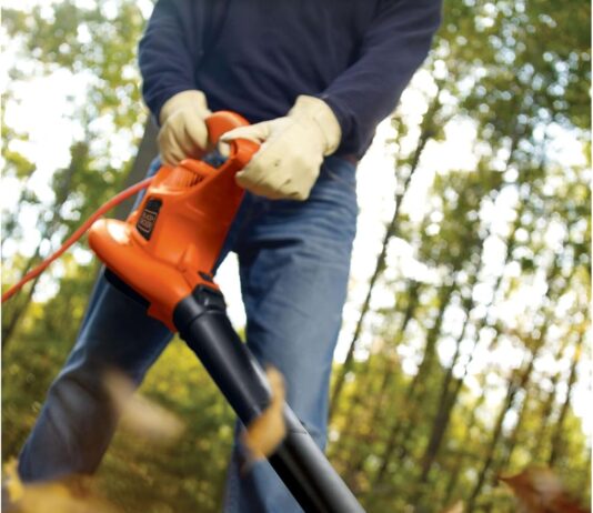 BLACK+DECKER BV6000 3-in-1 Leaf Blower review