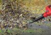 Cordless Leaf Blower 20V Lightweight Electric Blower Review