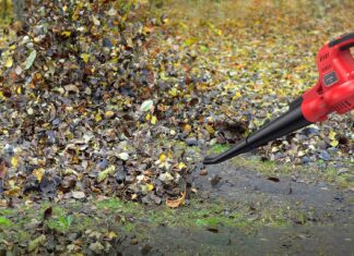 Cordless Leaf Blower 20V Lightweight Electric Blower Review