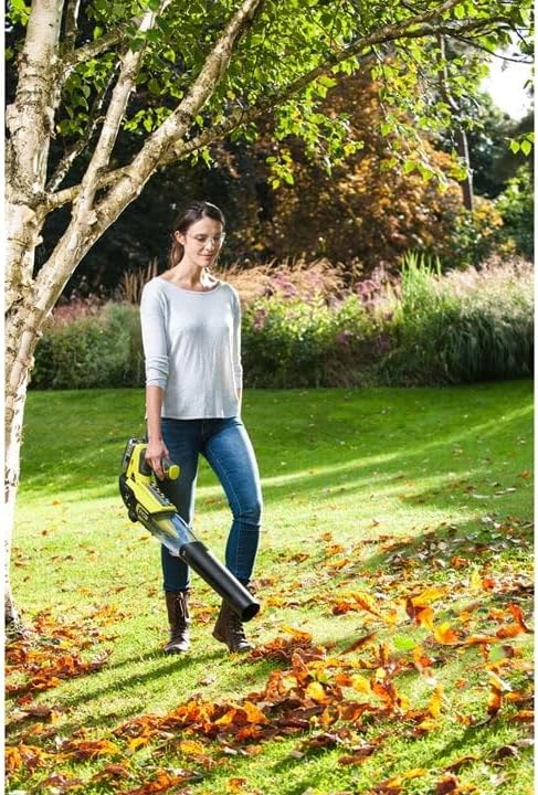 Ryobi OBL18JB Blower Turbine Jet Battery 18V 160km/h 7.9m3/min Kit 4.0 Ah Ryobi OBL18JB Blower Turbine Jet Battery 18V 160km/h 7.9m3/min Kit 4.0 Ah