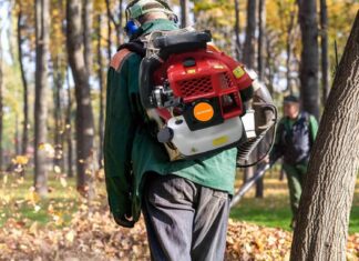 80CC Backpack Leaf Blower EB850 review