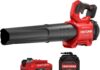 CRAFTSMAN Leaf Blower CMCBL730P1 review