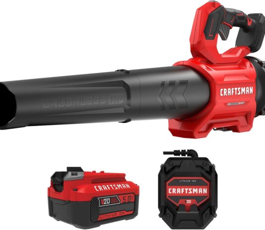 CRAFTSMAN Leaf Blower CMCBL730P1 review