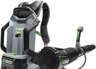 EGO POWER+ Backpack Leaf Blower LB6000 review