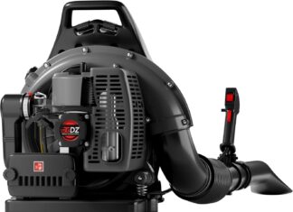 TDH Gas Backpack Leaf Blower review